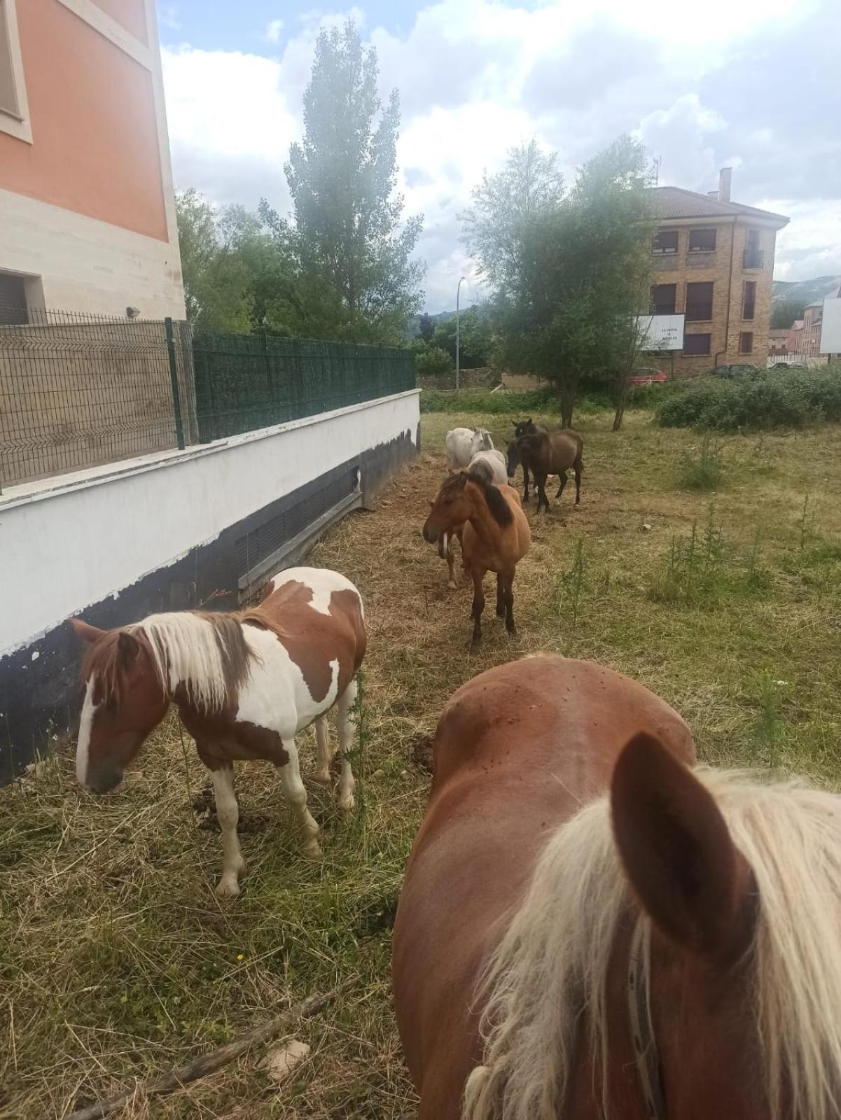 Alojamiento Fiordos Leoneses Bonar Zewnętrze zdjęcie